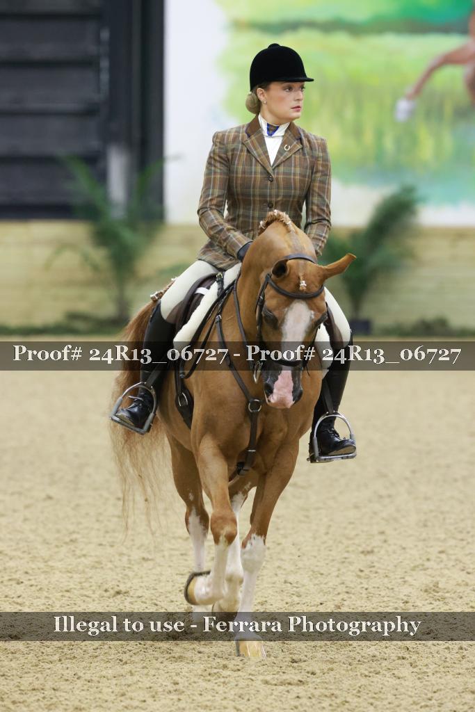 Proof Number 24R13_06727