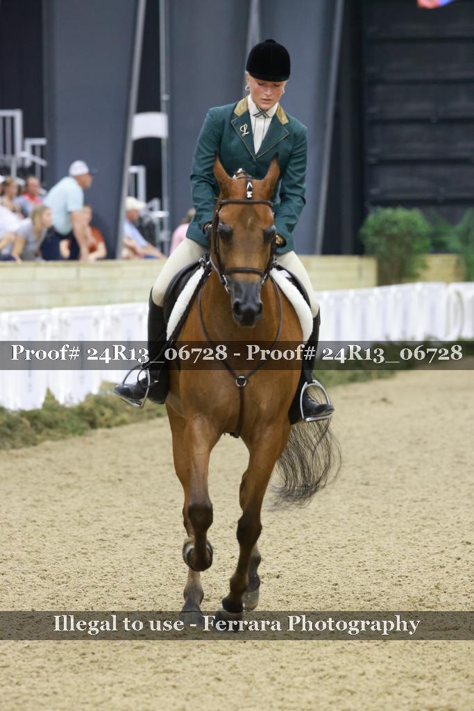 Proof Number 24R13_06728
