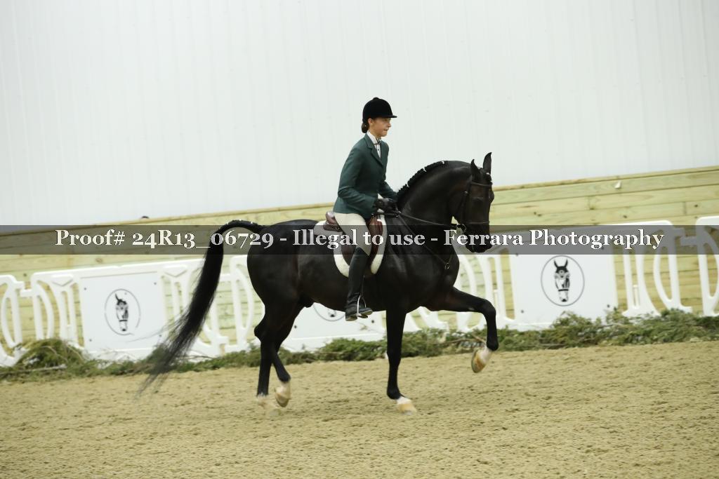 Proof Number 24R13_06729