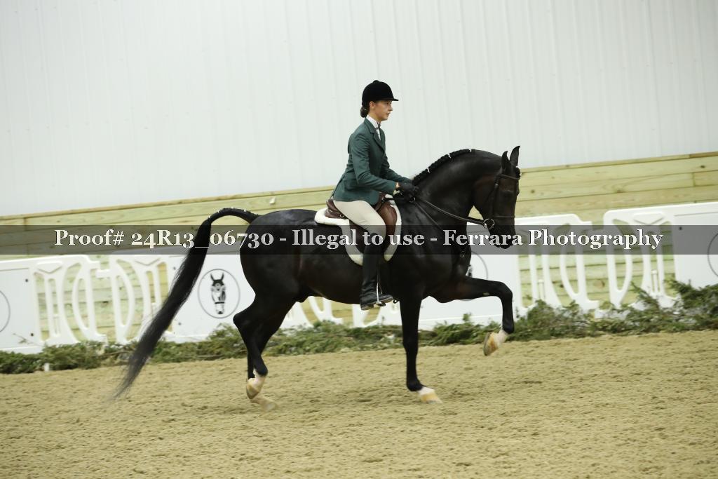 Proof Number 24R13_06730
