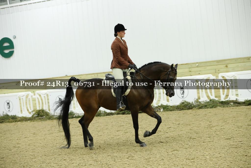 Proof Number 24R13_06731