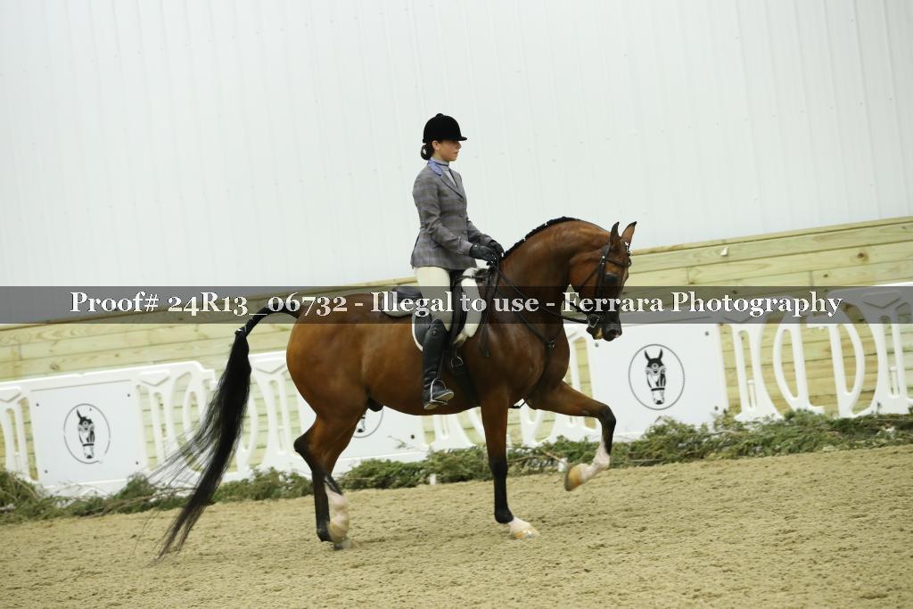Proof Number 24R13_06732