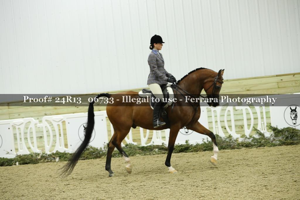 Proof Number 24R13_06733