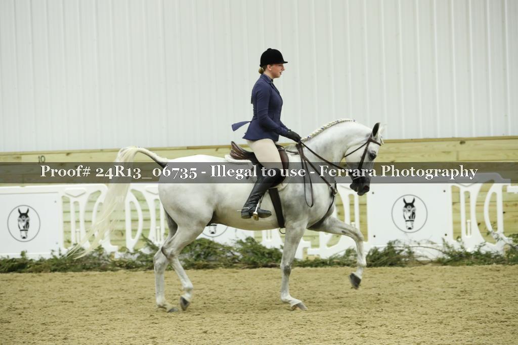 Proof Number 24R13_06735