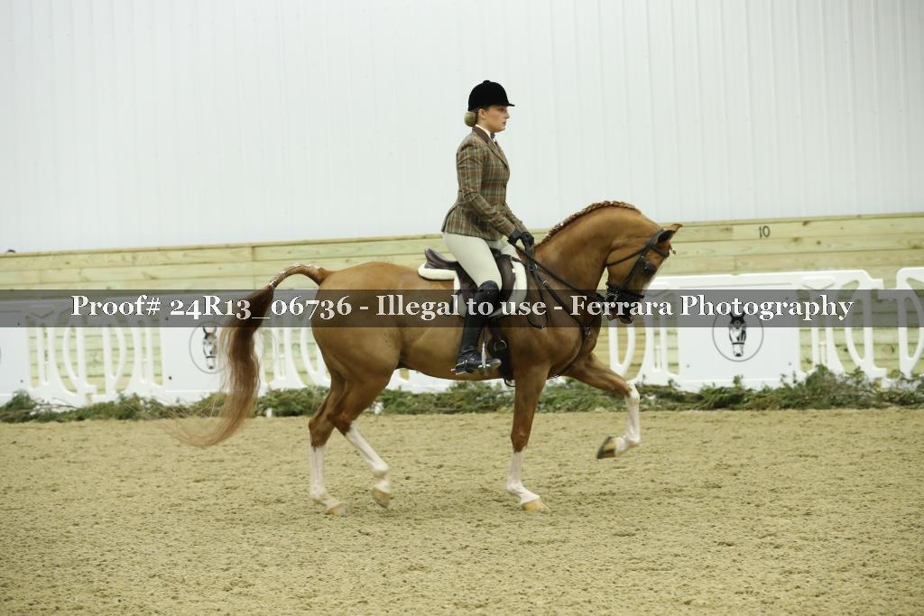 Proof Number 24R13_06736
