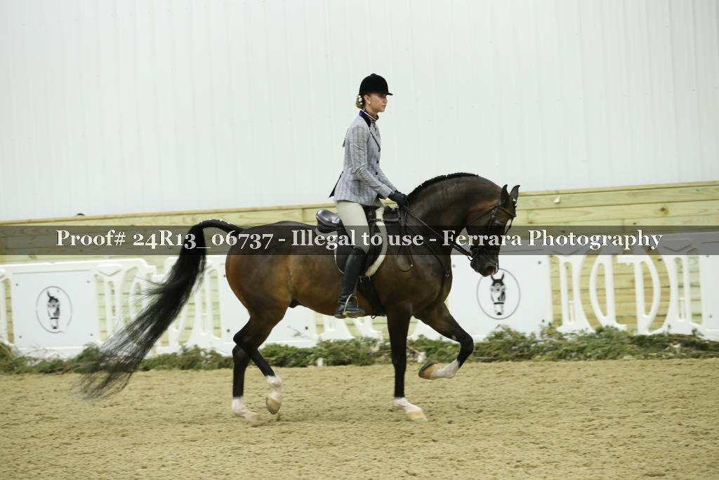 Proof Number 24R13_06737