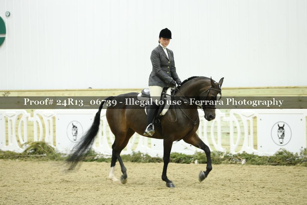 Proof Number 24R13_06739
