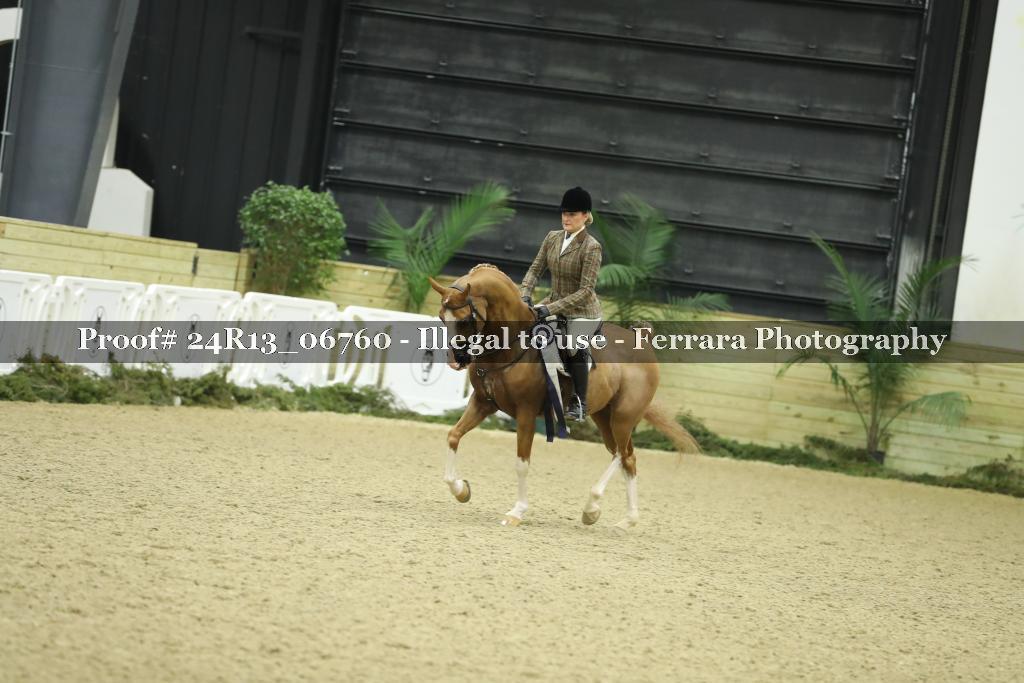 Proof Number 24R13_06760