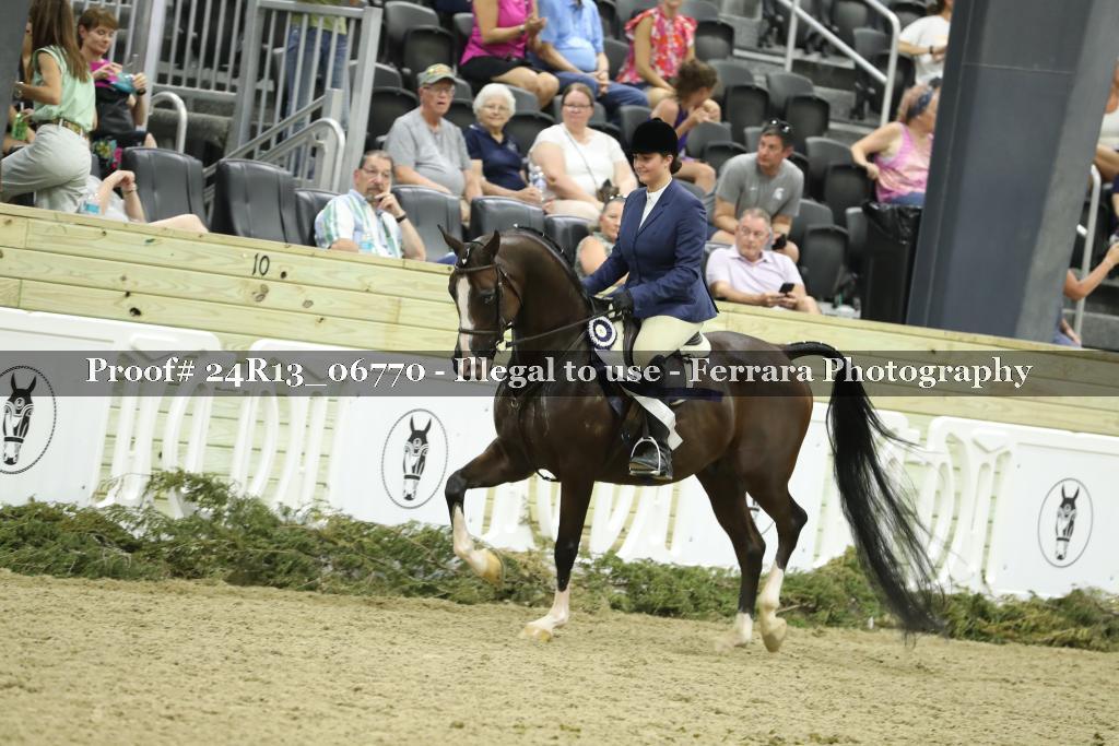 Proof Number 24R13_06770