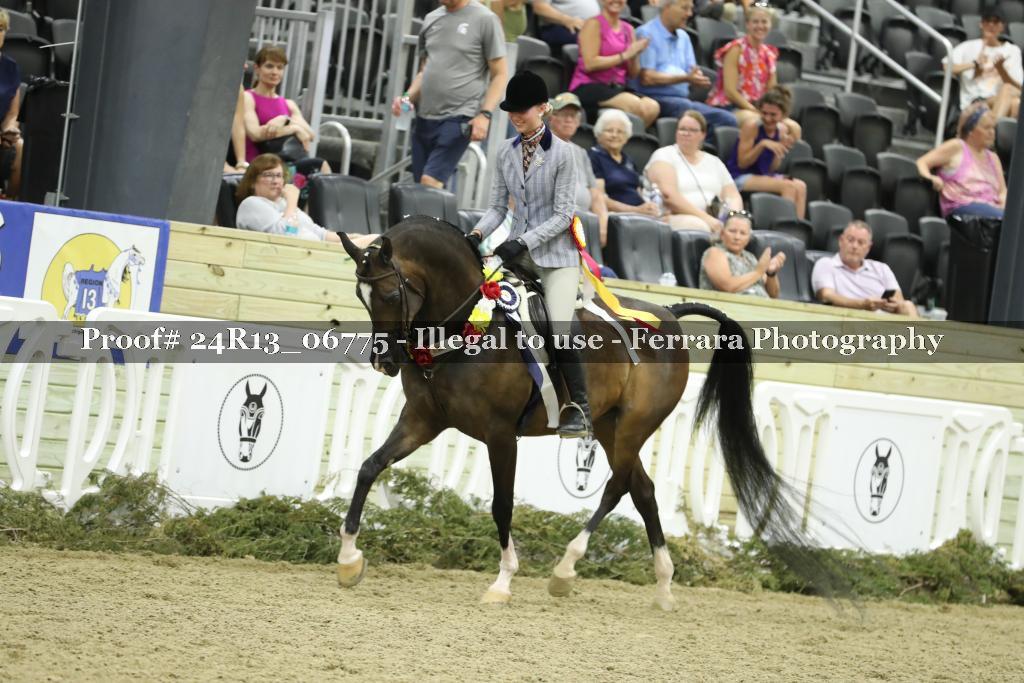 Proof Number 24R13_06775