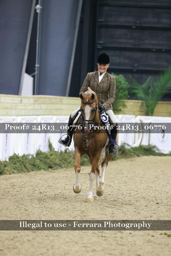 Proof Number 24R13_06776