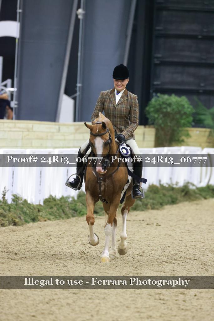 Proof Number 24R13_06777