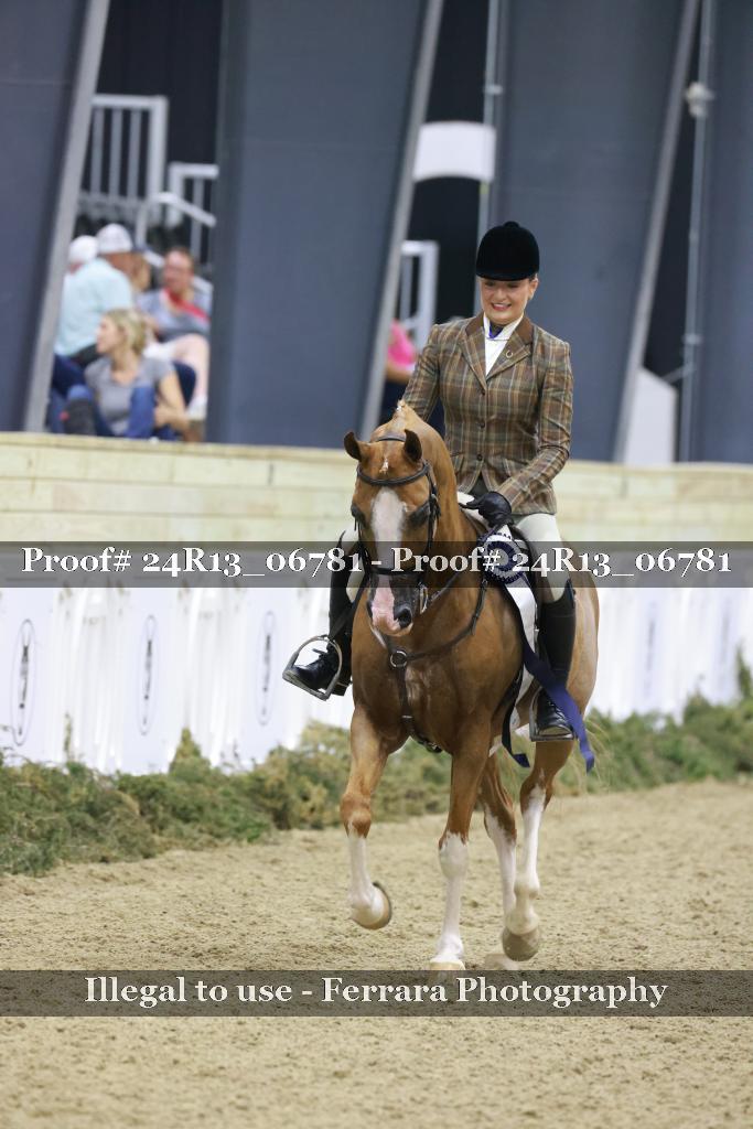 Proof Number 24R13_06781