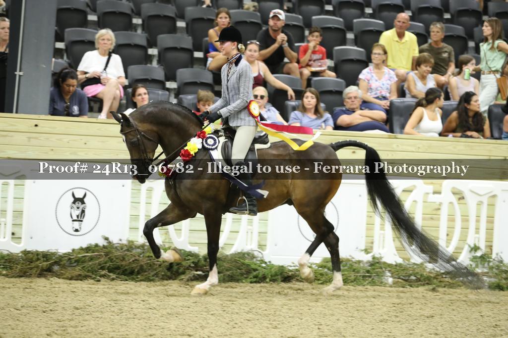 Proof Number 24R13_06782