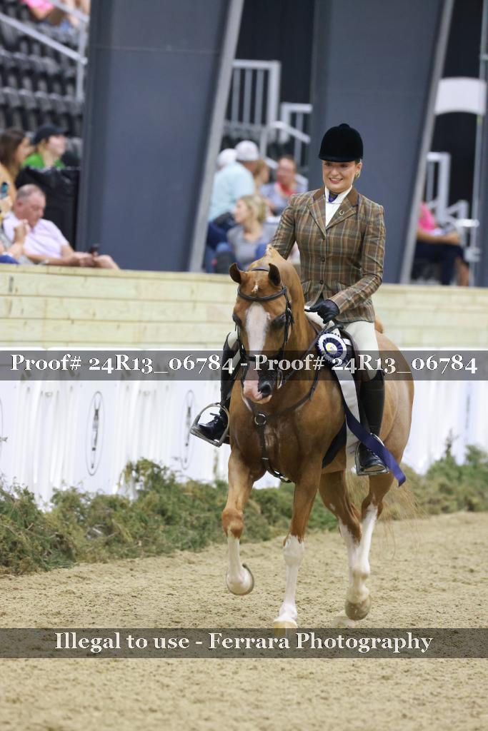 Proof Number 24R13_06784