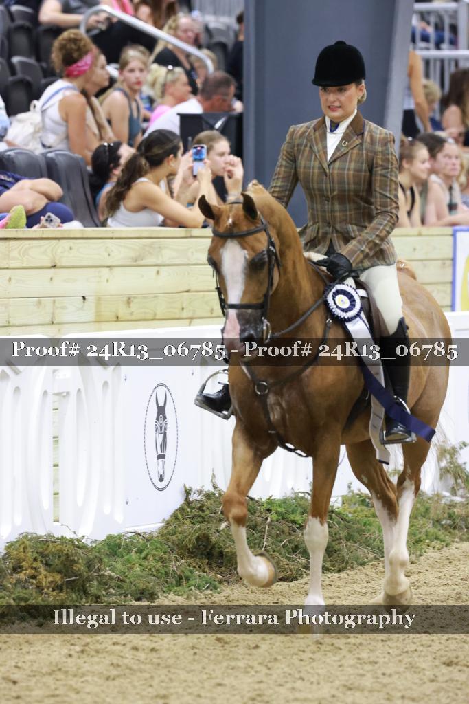Proof Number 24R13_06785