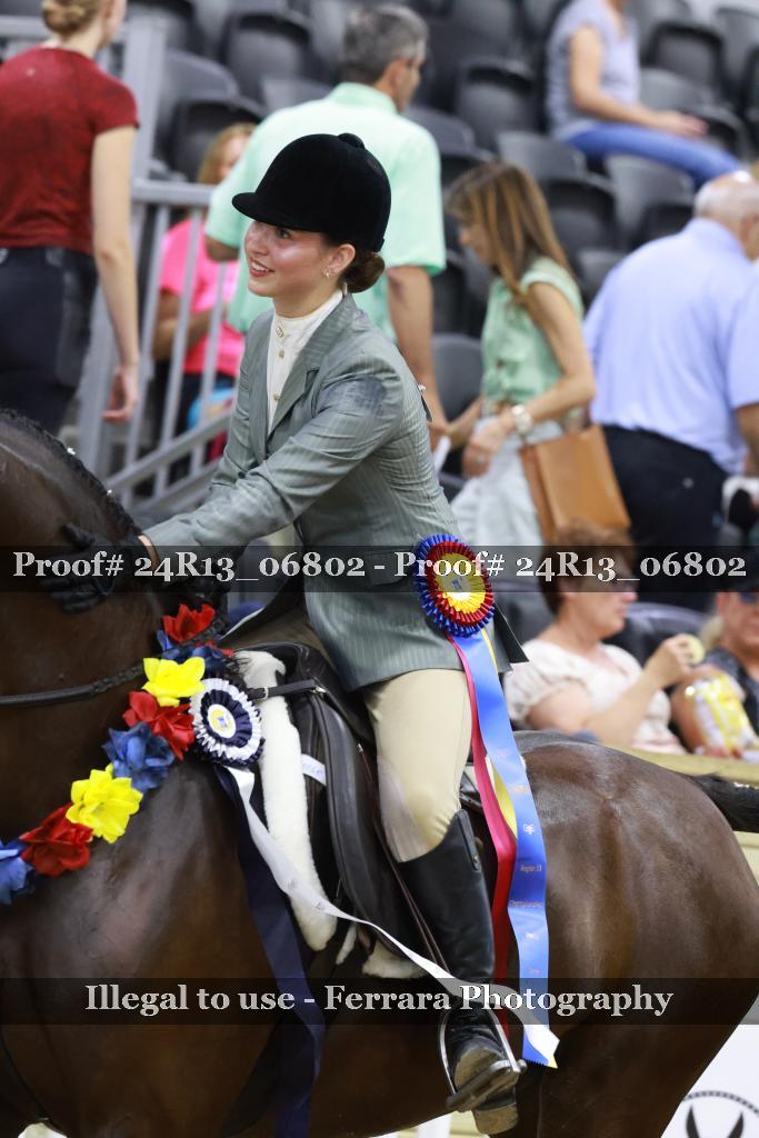 Proof Number 24R13_06802