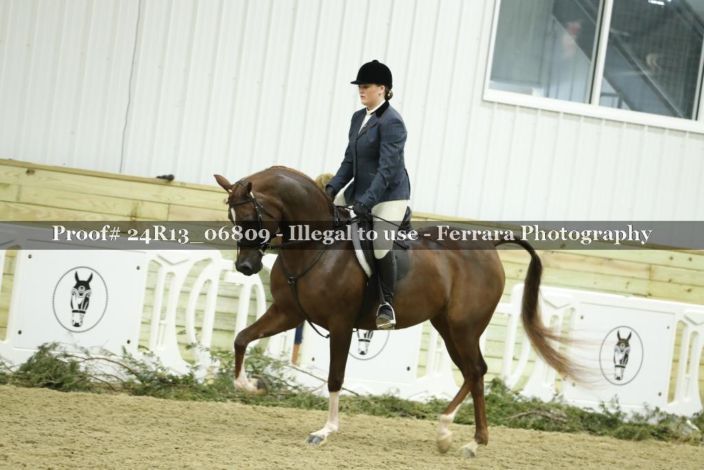 Proof Number 24R13_06809