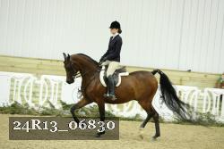 24R13_06830 thumbnail