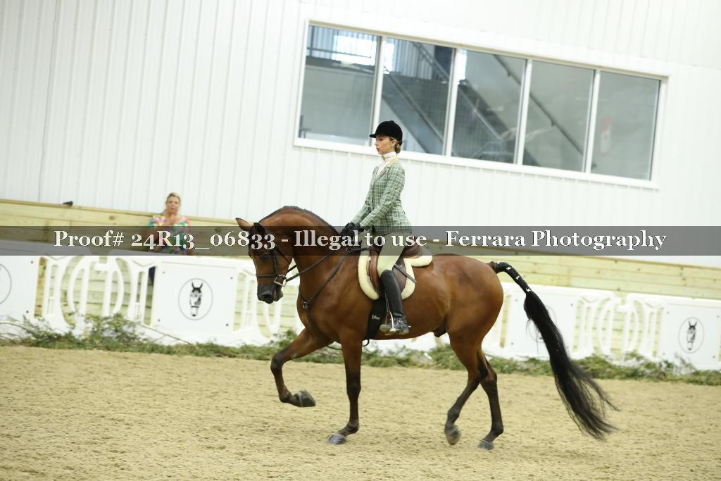 Proof Number 24R13_06833