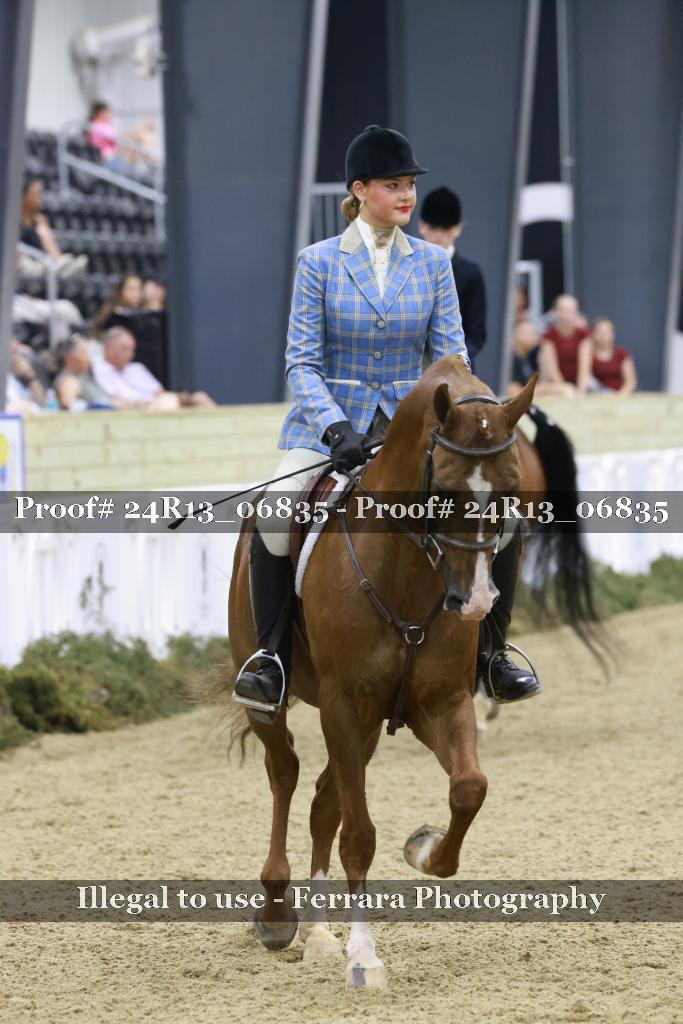 Proof Number 24R13_06835