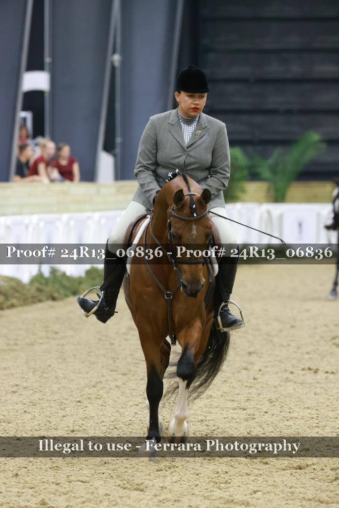 Proof Number 24R13_06836
