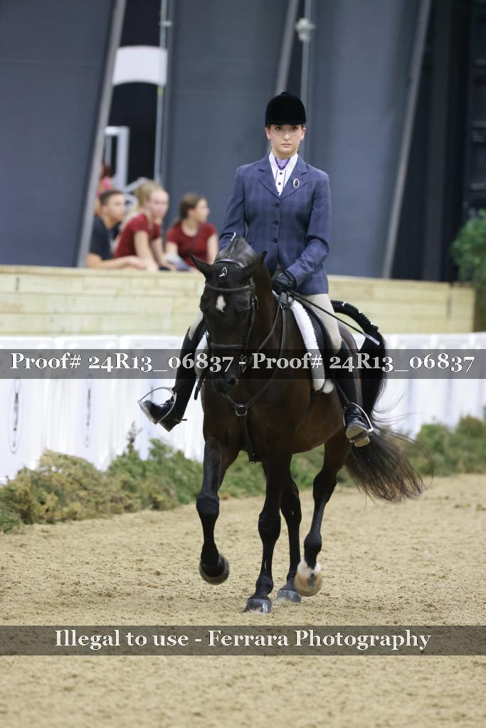 Proof Number 24R13_06837