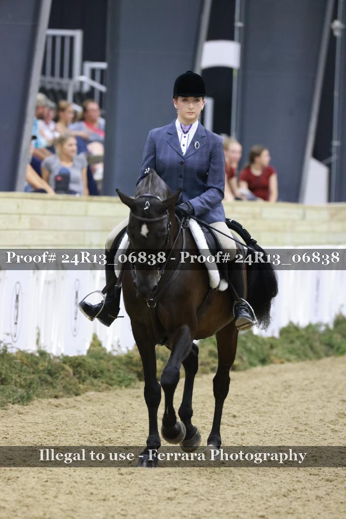 Proof Number 24R13_06838