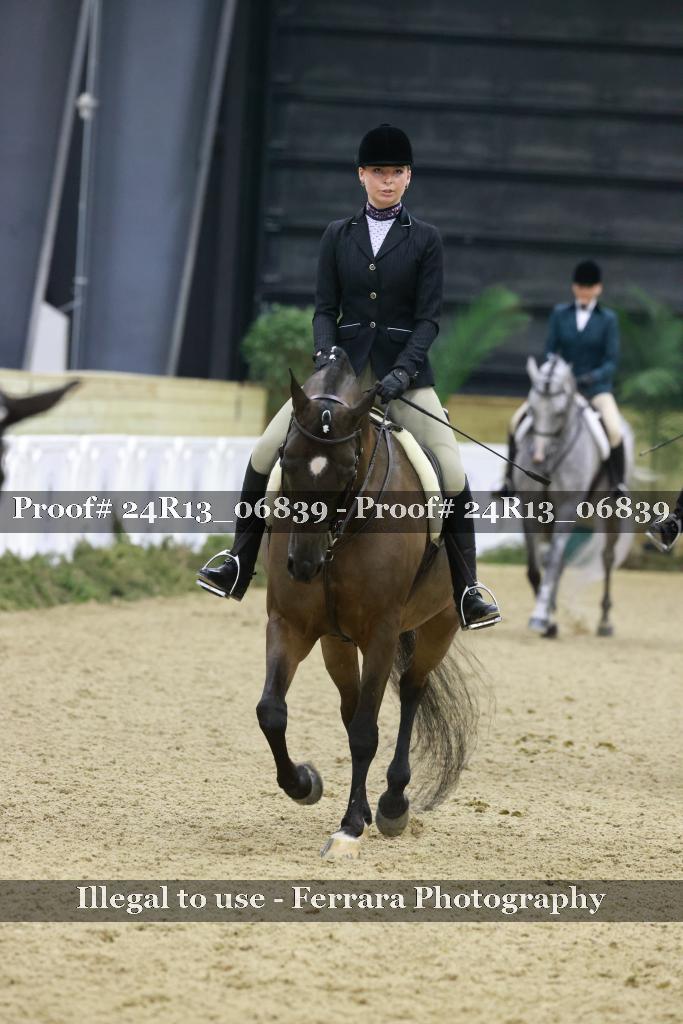 Proof Number 24R13_06839
