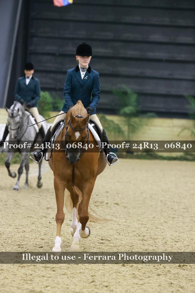 Proof Number 24R13_06840