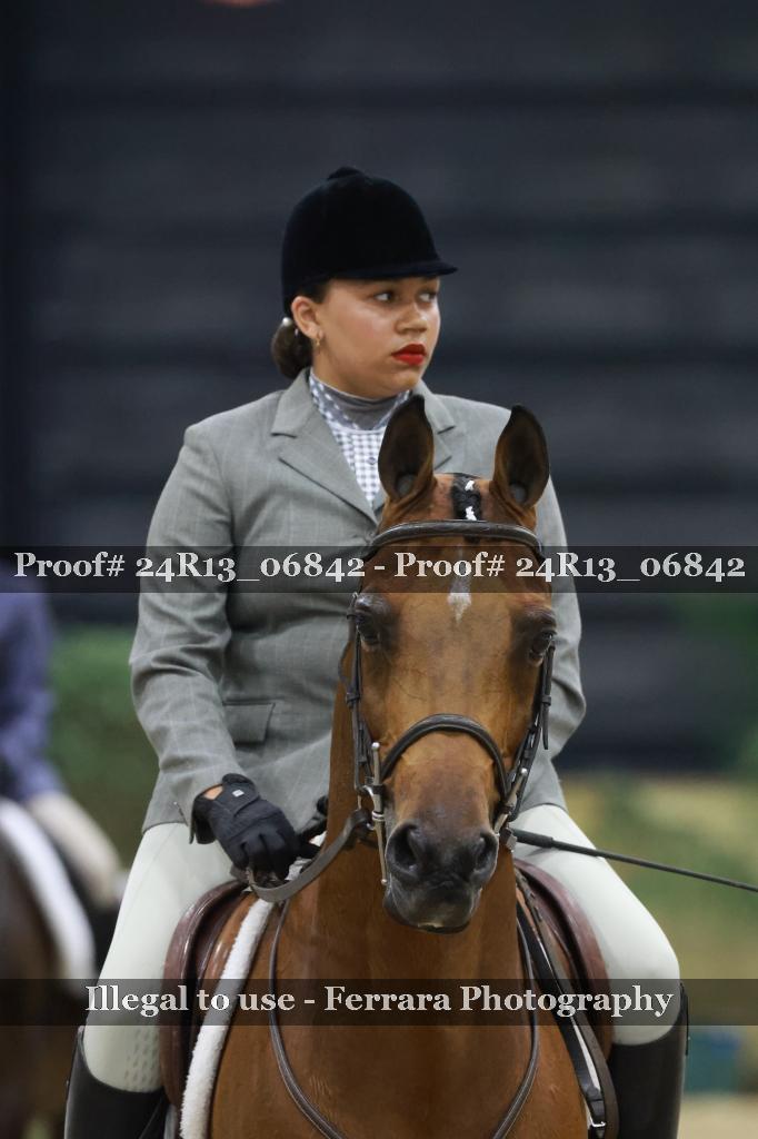 Proof Number 24R13_06842