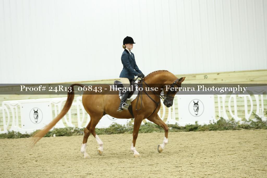 Proof Number 24R13_06843