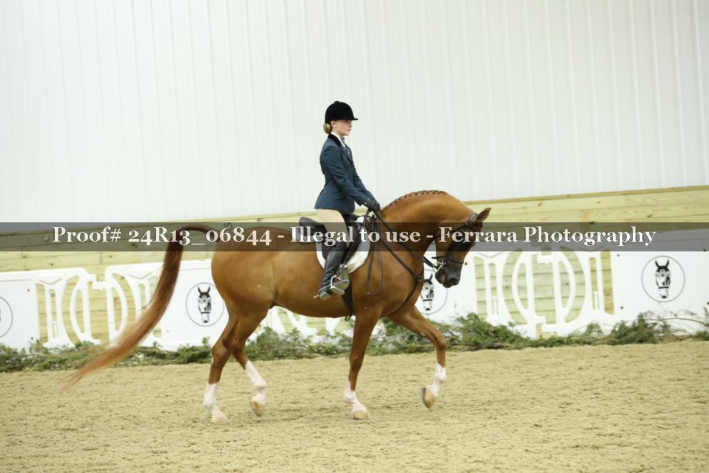 Proof Number 24R13_06844