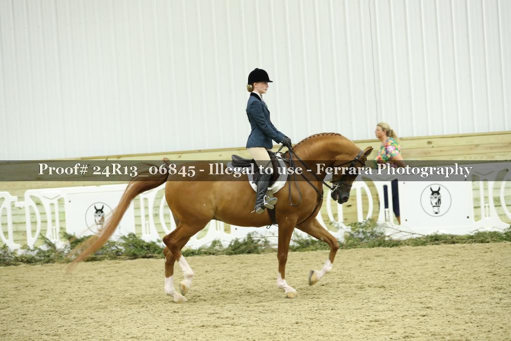 Proof Number 24R13_06845