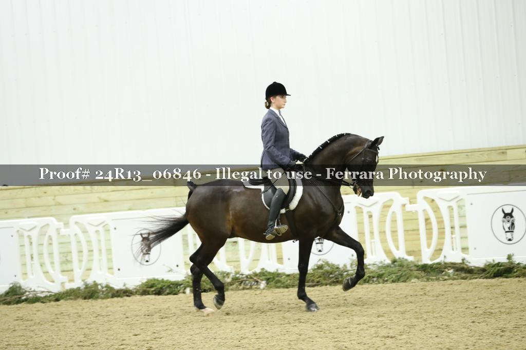 Proof Number 24R13_06846