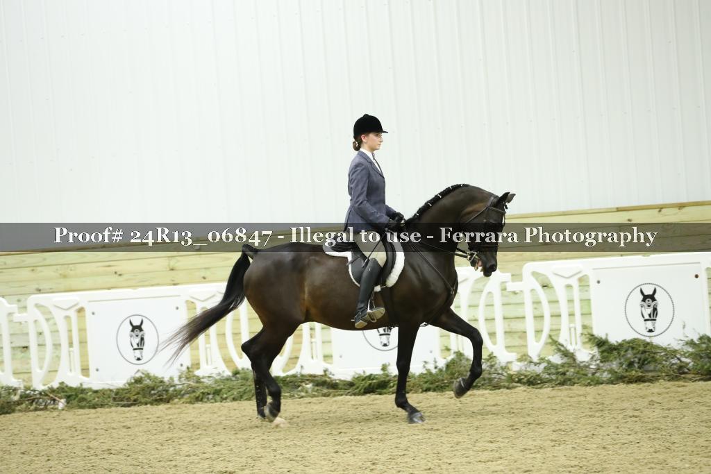 Proof Number 24R13_06847