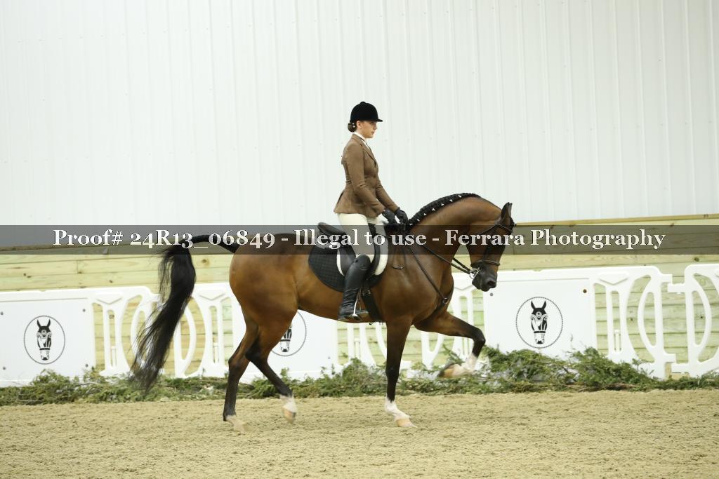 Proof Number 24R13_06849