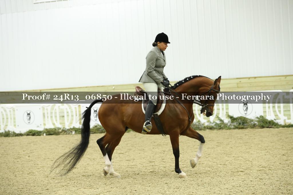 Proof Number 24R13_06850
