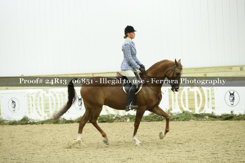 Proof Number 24R13_06851