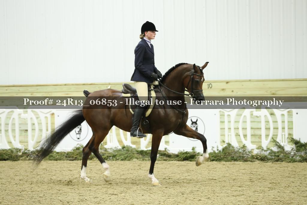 Proof Number 24R13_06853