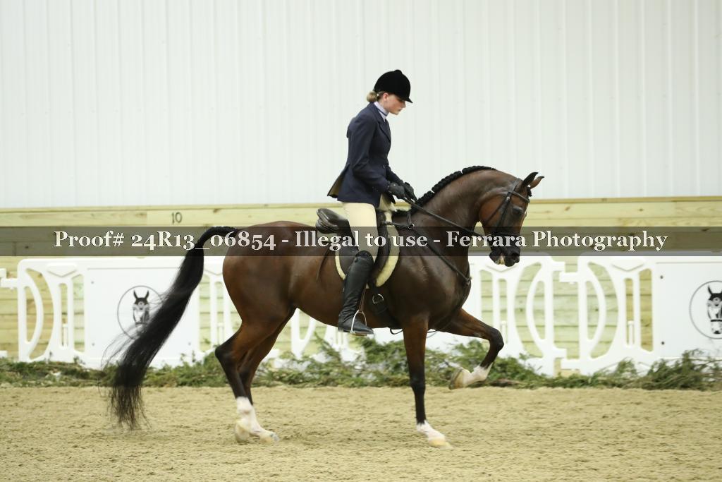 Proof Number 24R13_06854