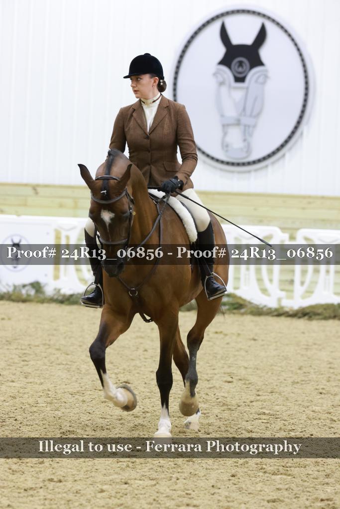 Proof Number 24R13_06856