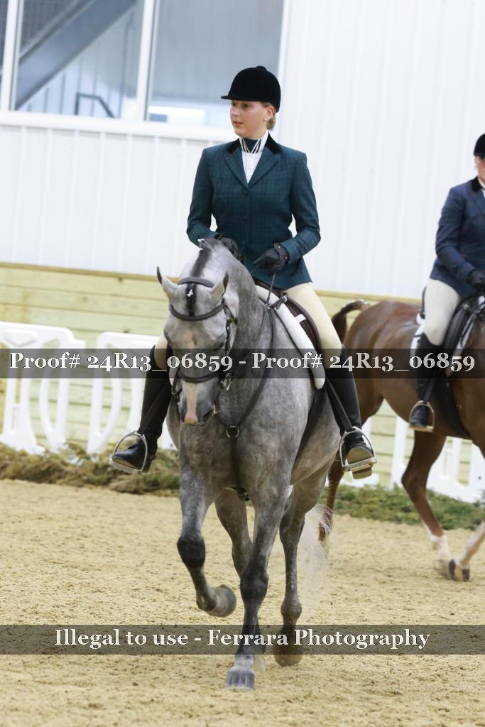 Proof Number 24R13_06859