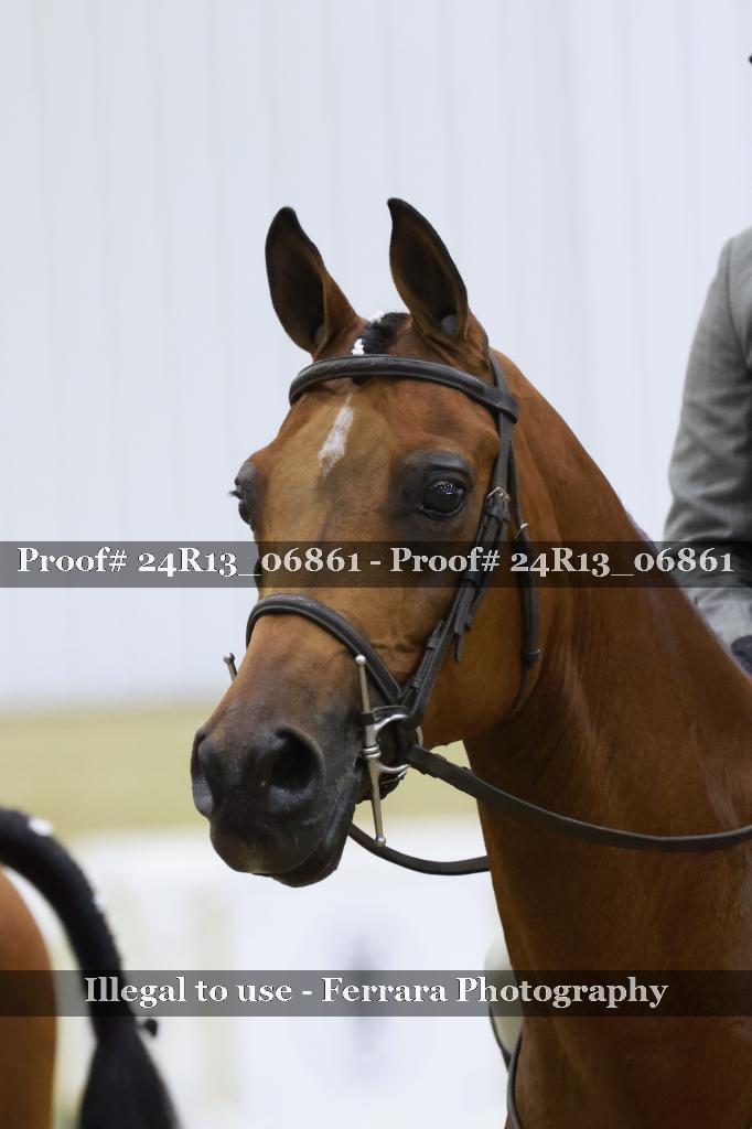 Proof Number 24R13_06861
