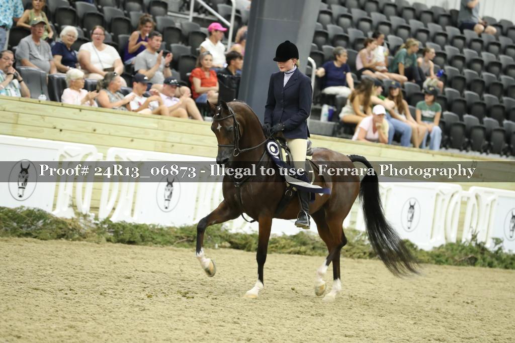 Proof Number 24R13_06873