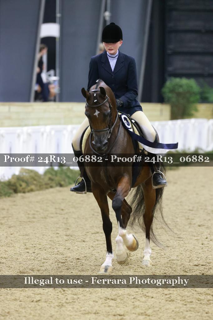 Proof Number 24R13_06882