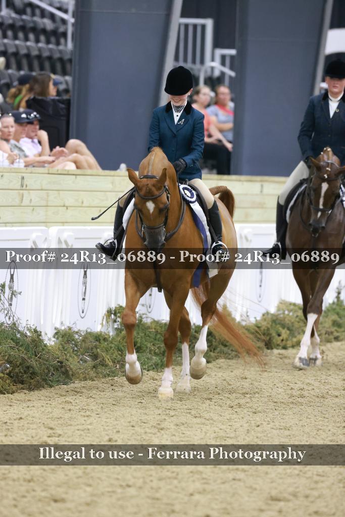 Proof Number 24R13_06889