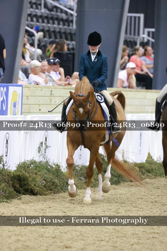 Proof Number 24R13_06890