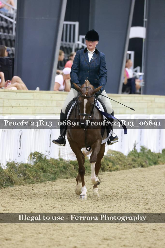 Proof Number 24R13_06891