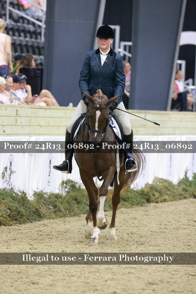 Proof Number 24R13_06892